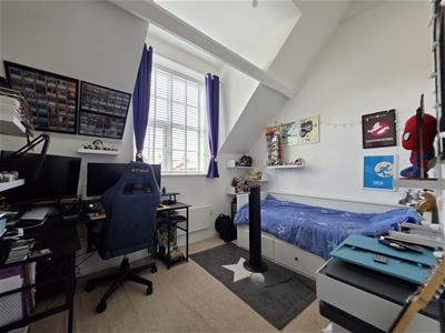 Picture 11
